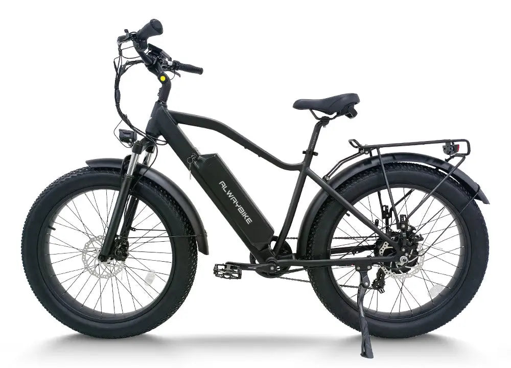 A high-step fat-tire electric bike positioned outdoors for a broad product and value overview.